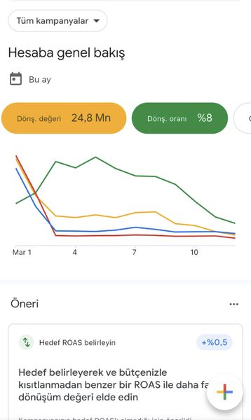 Google Ads Sonucu