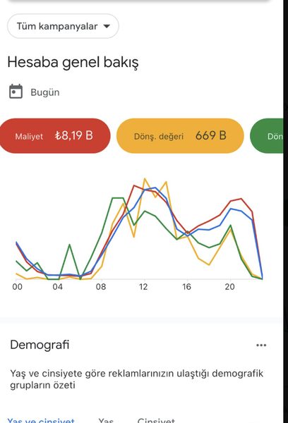 Google Ads Sonucu
